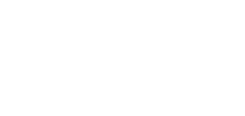 many minds focusing thier ideas into one system